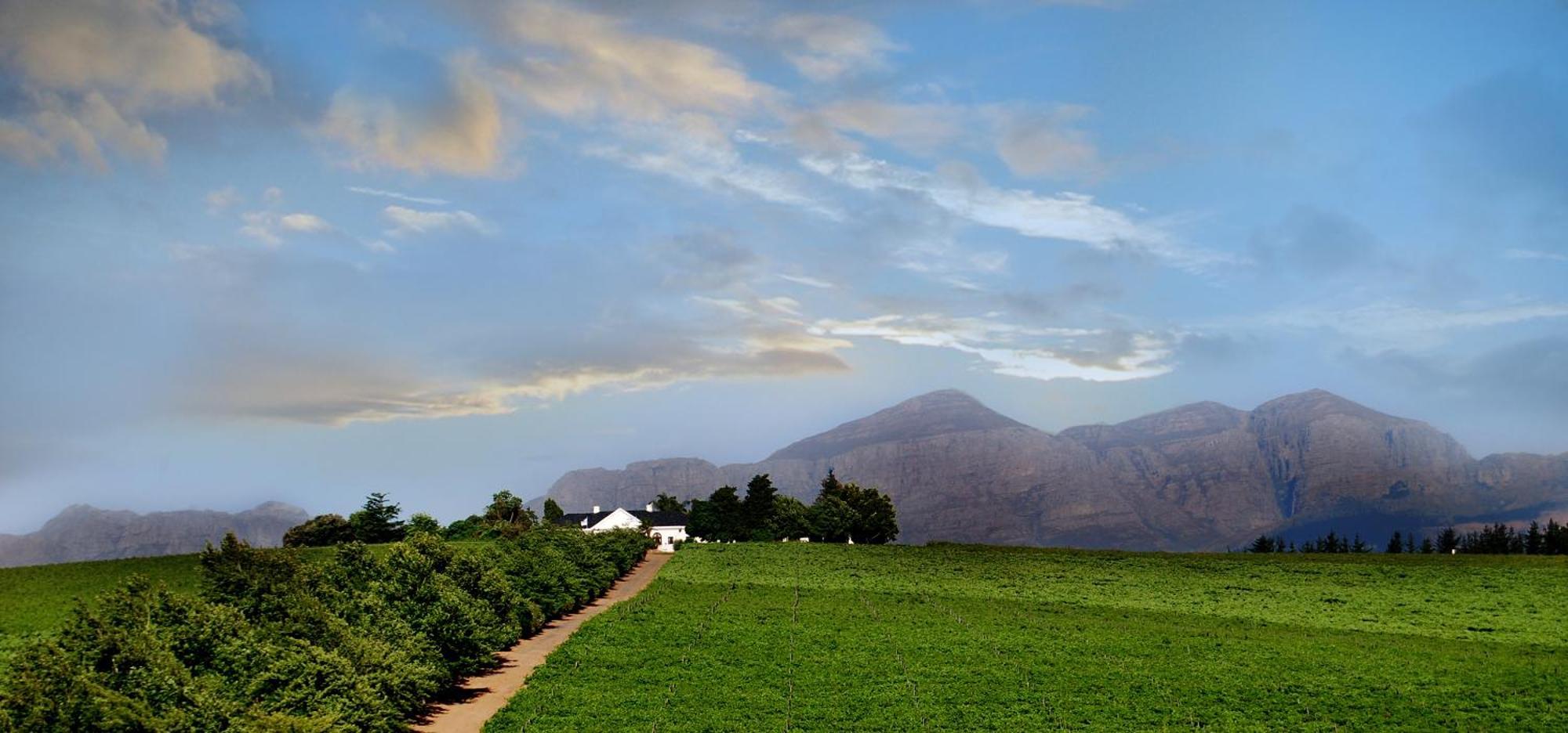 Bakenhof Winelands Lodge 파를 외부 사진