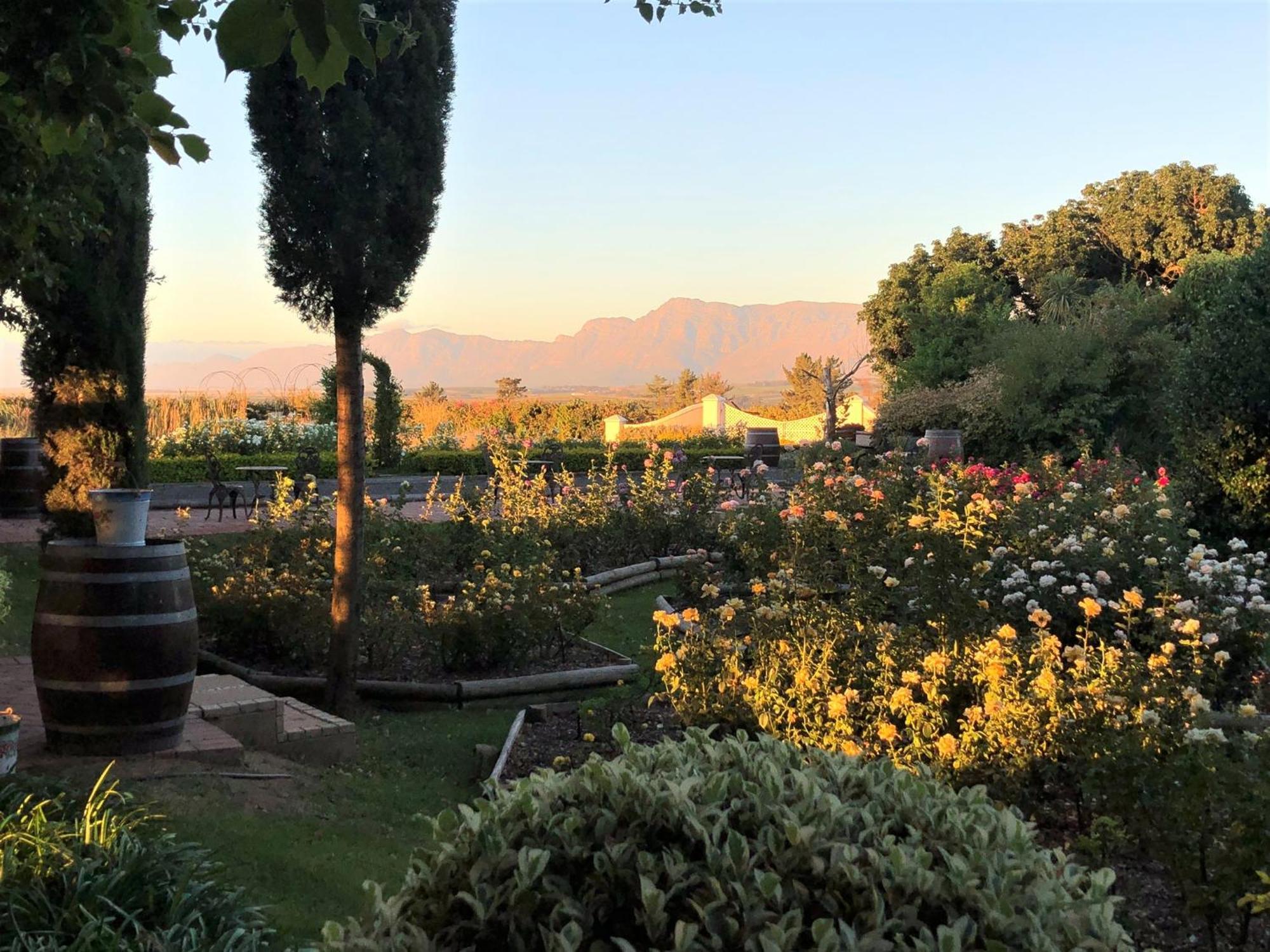 Bakenhof Winelands Lodge 파를 외부 사진
